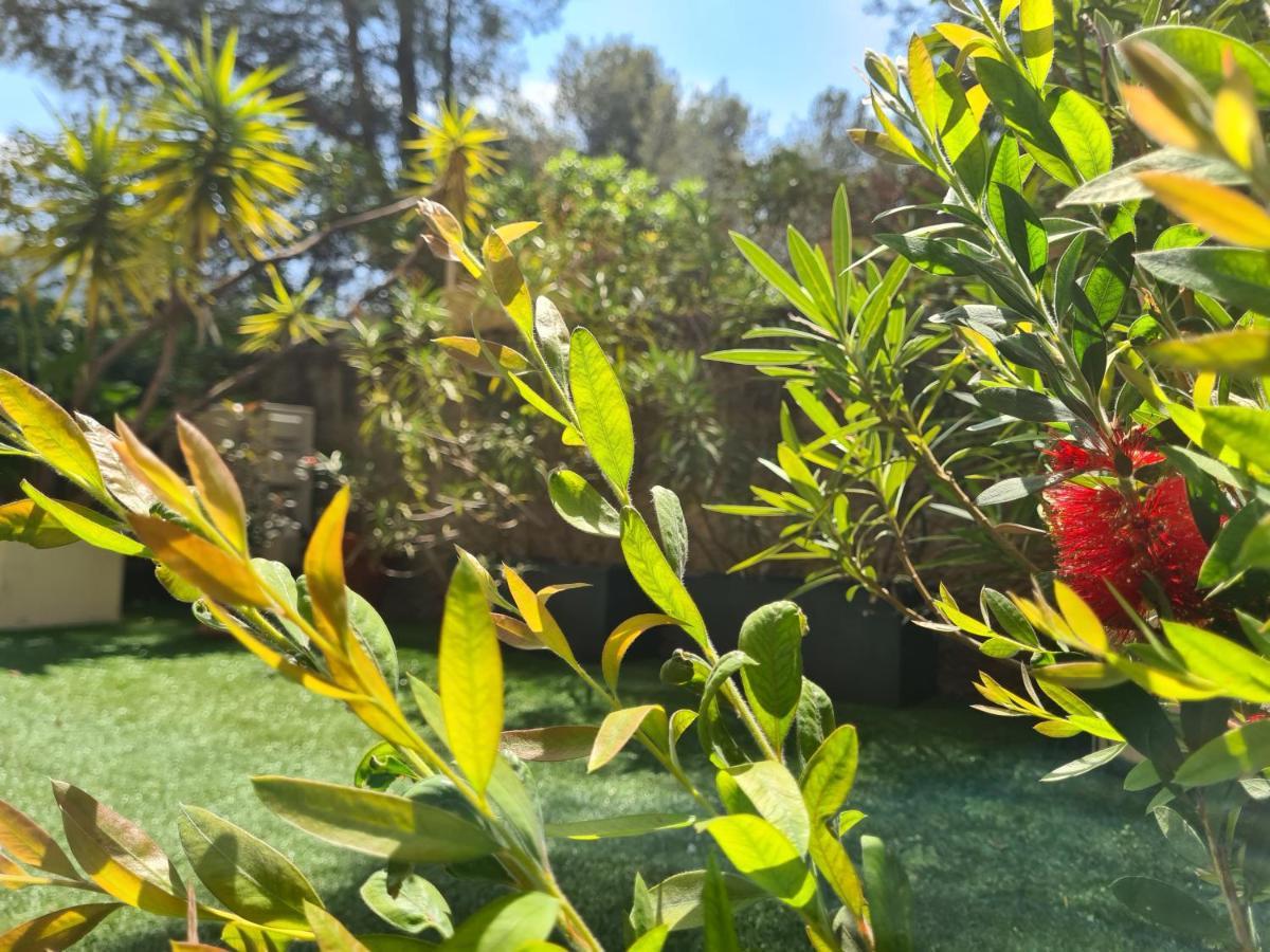 Jardin Prive Ds Le Centre De Cassis - Parking - Plage A 500M מראה חיצוני תמונה